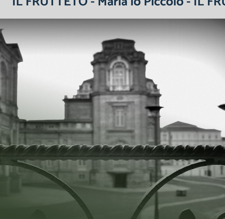 La Reggia di Venaria vista dal cancello in ferro battuto
