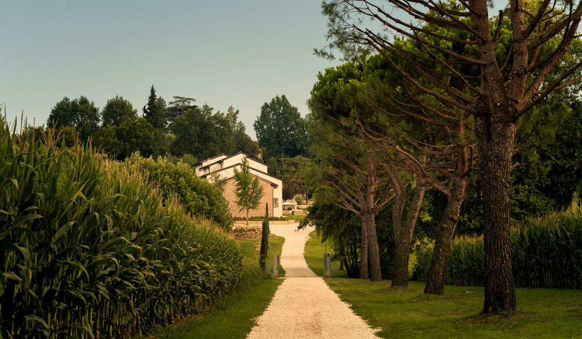 Maddalene 101 — foto 2