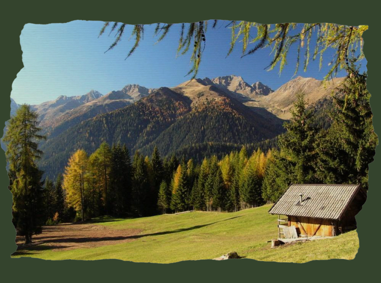 Agritur Vento Alpino: baita in legno tra prati e boschi di montagna